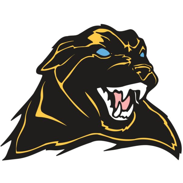 AR COUGAR 42 RC Thumbnail